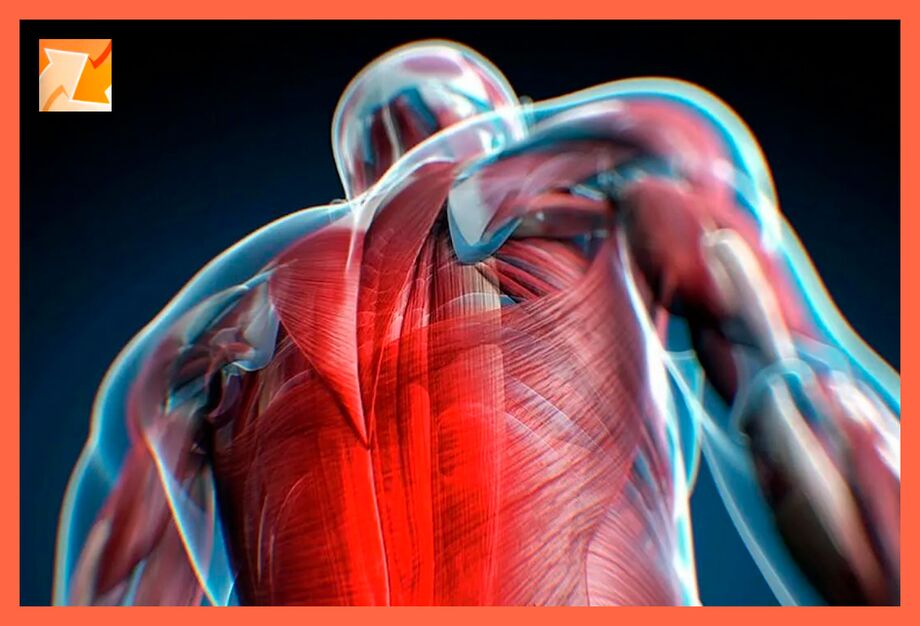 Merkmale des Unbehagens